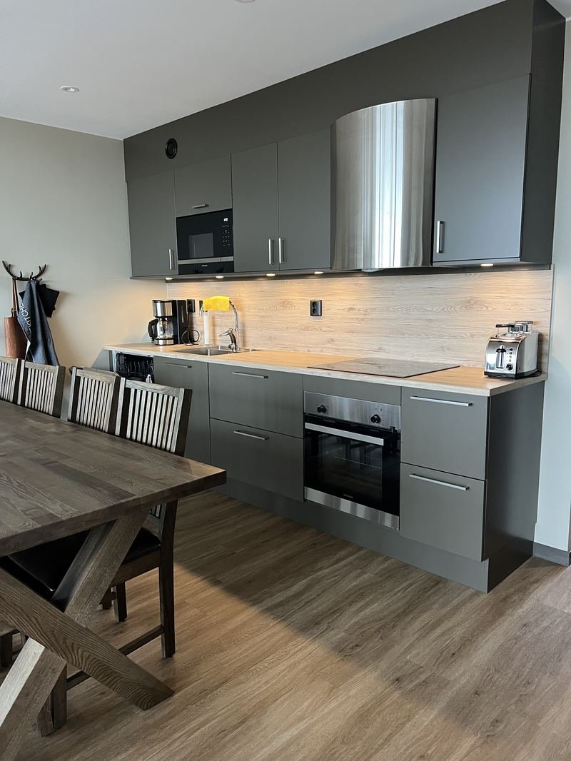 Modern fully equipped kitchen